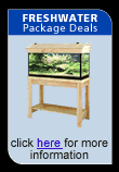 package deals