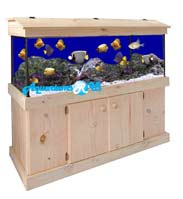 Aquariums R Us Freshwater Package Deals